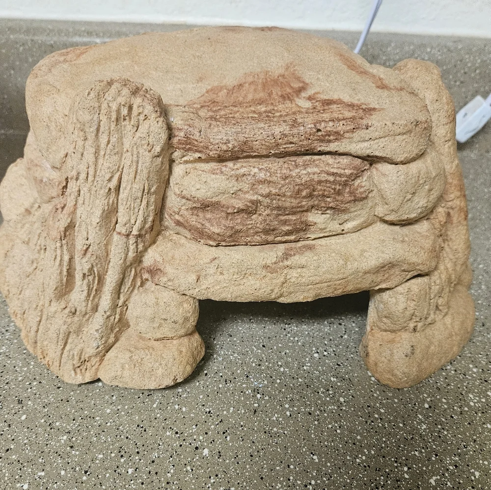 Rock for lizard